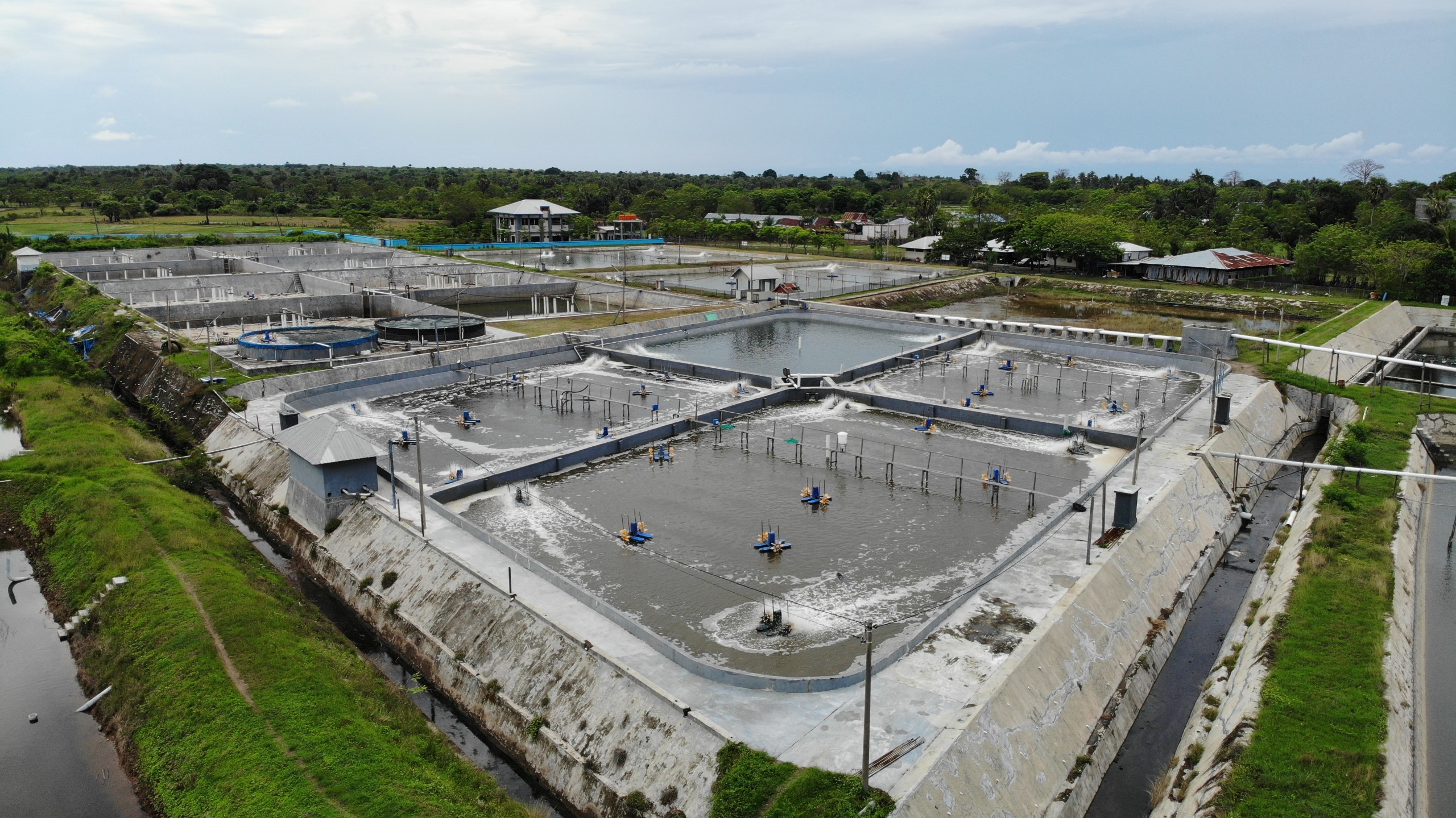 Shrimp Toilet: Solusi Inovatif Atasi Limbah Organik Tambak Udang